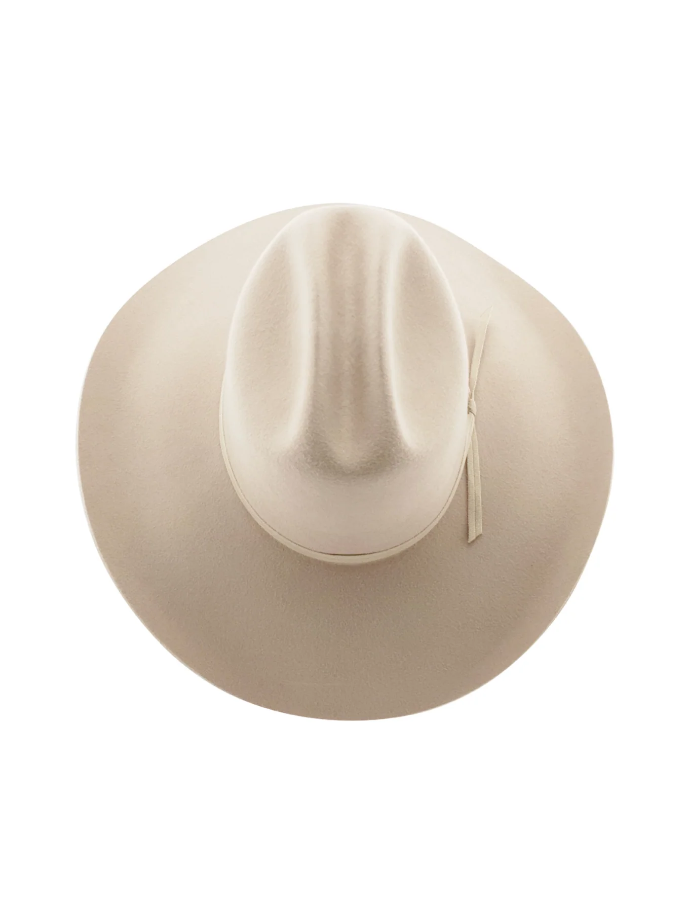 Statesman Serpentine Fur Felt Hat - Image 2