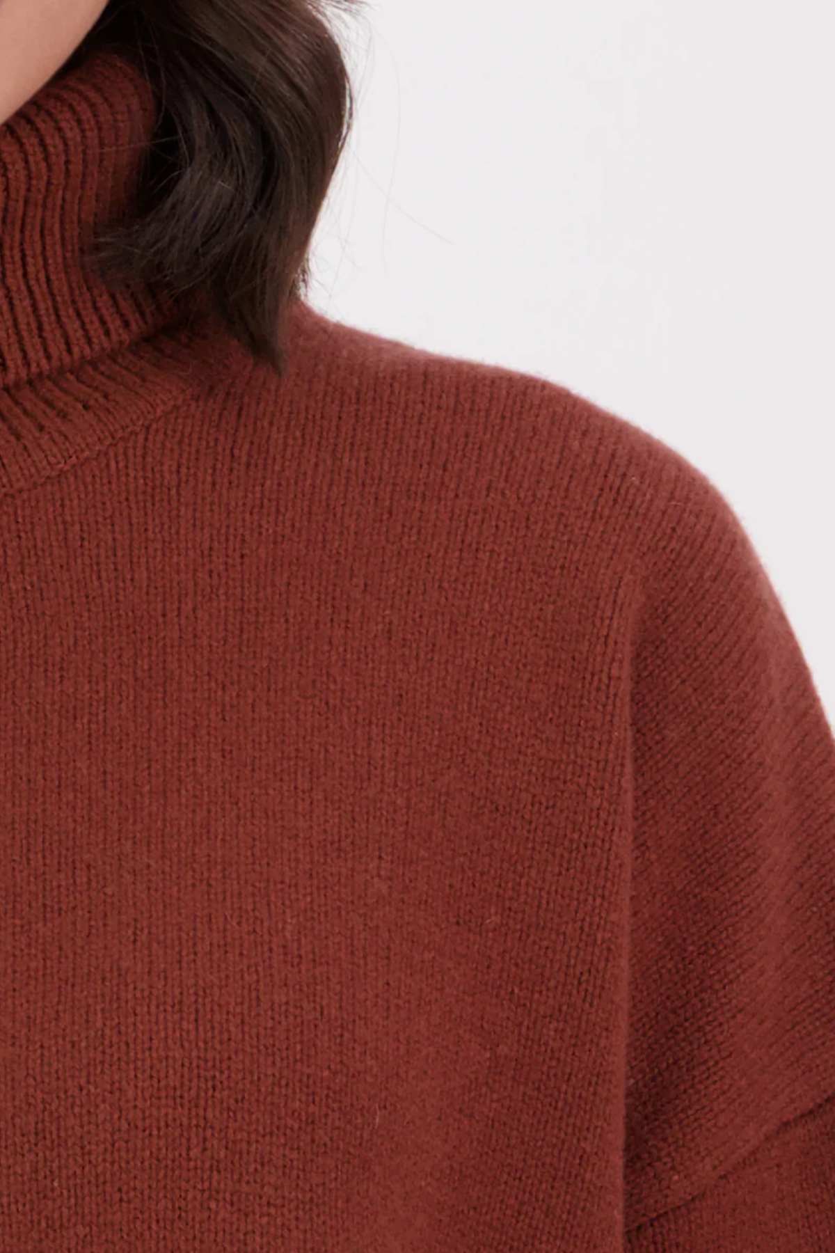 Swanndri Brunner Merino Roll Neck Knit - Image 4